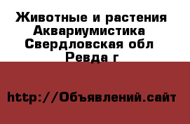 Животные и растения Аквариумистика. Свердловская обл.,Ревда г.